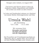 eine Anzeige